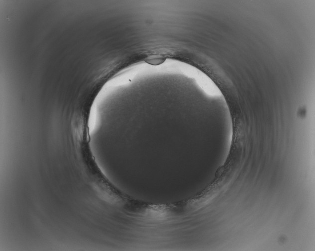 X0000116440076201001191540