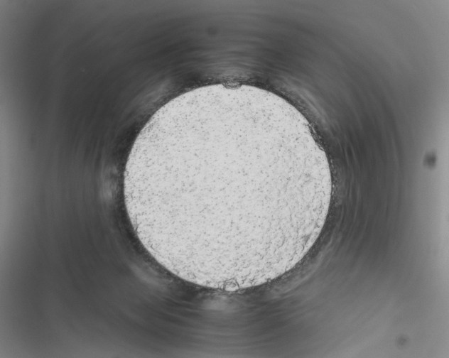 X0000116440077201001191540