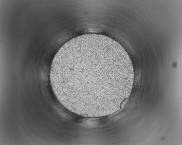 X0000116440078201001191540