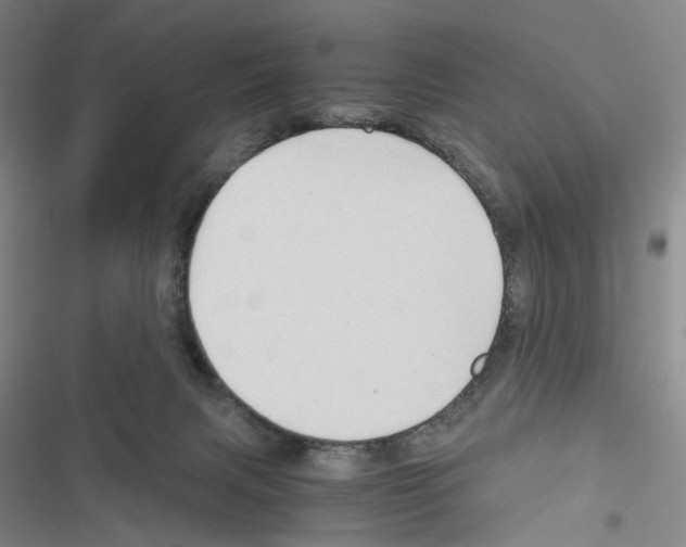 X0000116440079201001191540