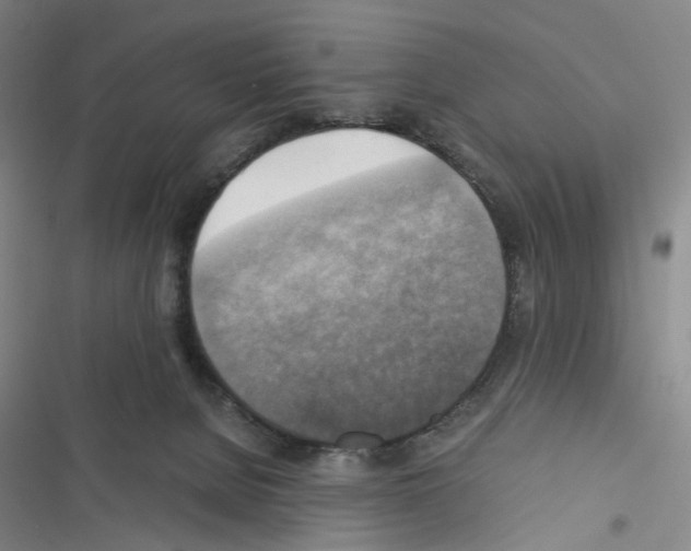 X0000116440080201001191541