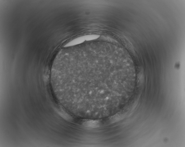 X0000116440081201001191541