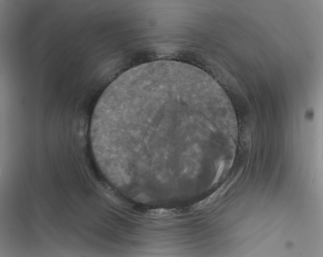 X0000116440082201001191541