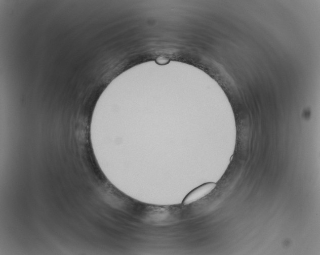 X0000116440083201001191541