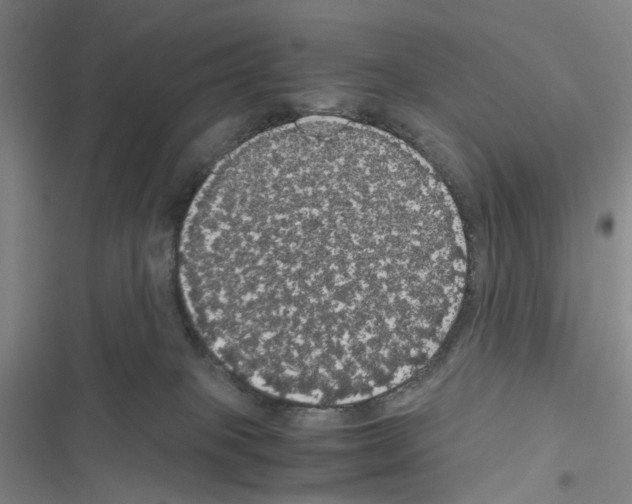 X0000116440085201001191541