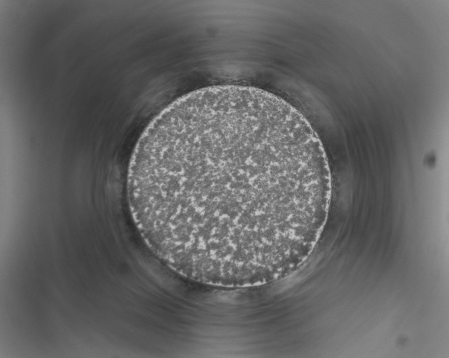 X0000116440086201001191541