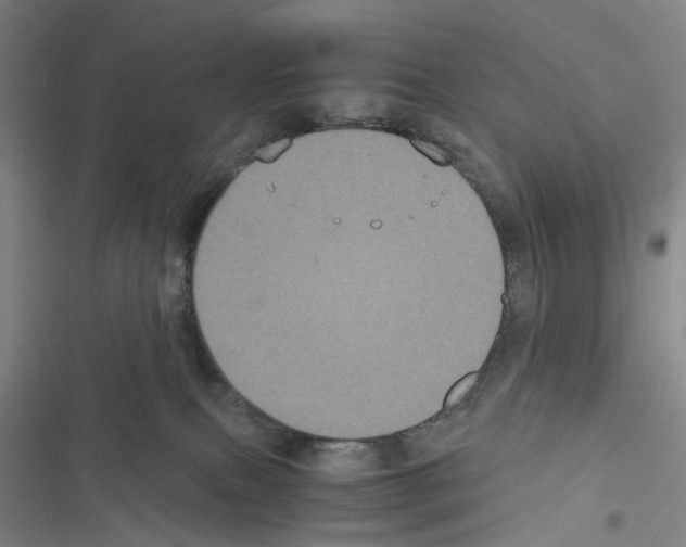 X0000116440087201001191541