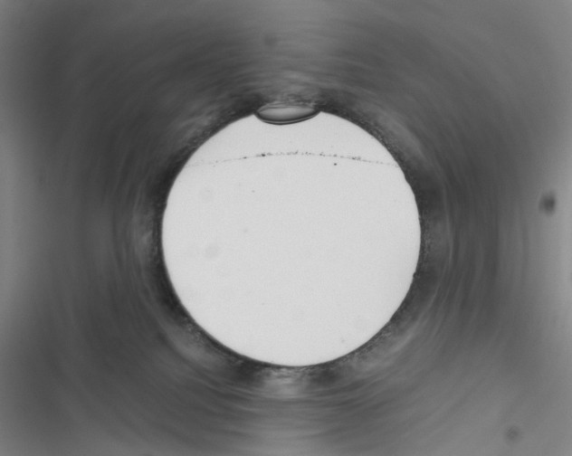 X0000116440088201001191541