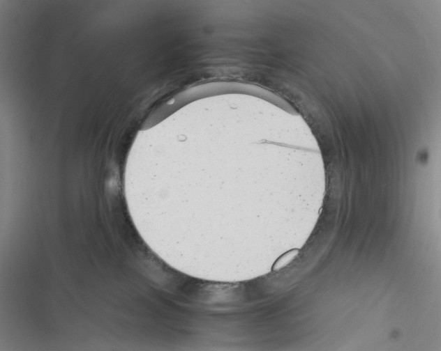 X0000116440089201001191541