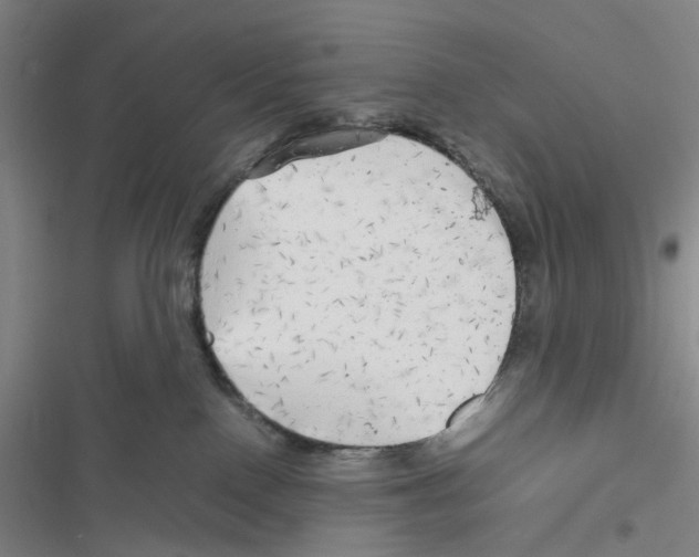 X0000116440090201001191541