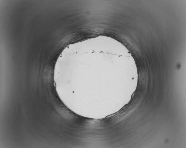 X0000116440092201001191541