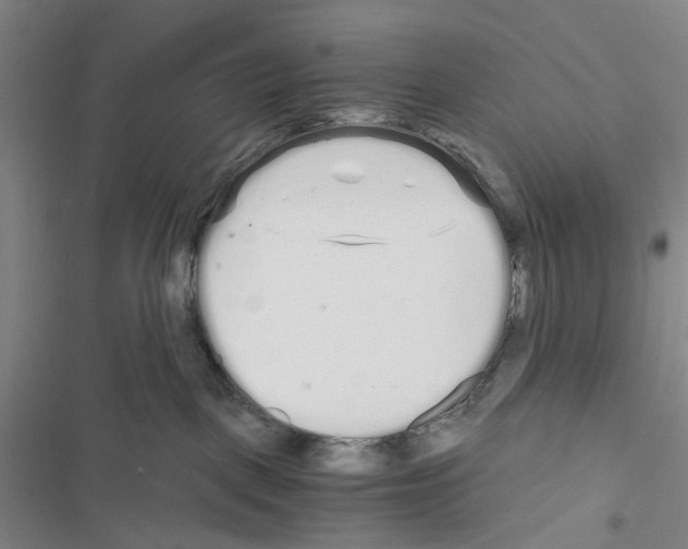 X0000116440093201001191541