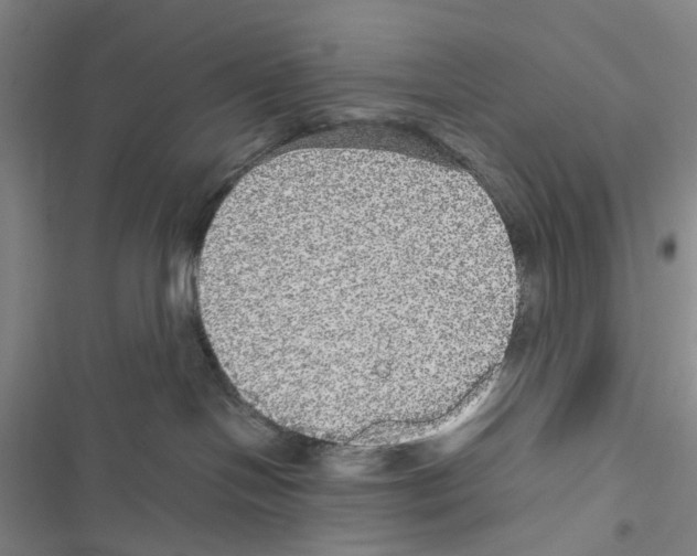 X0000116440094201001191541