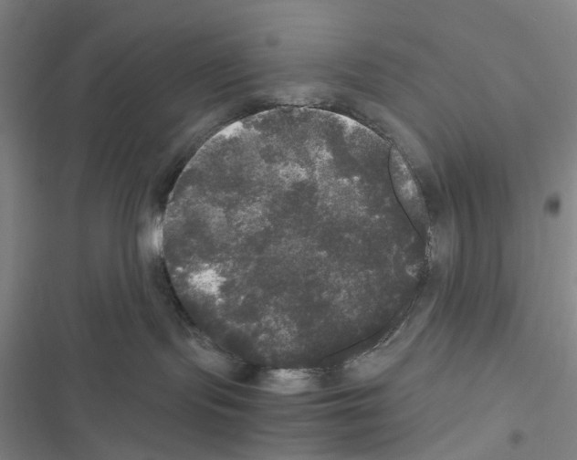 X0000116440095201001191541