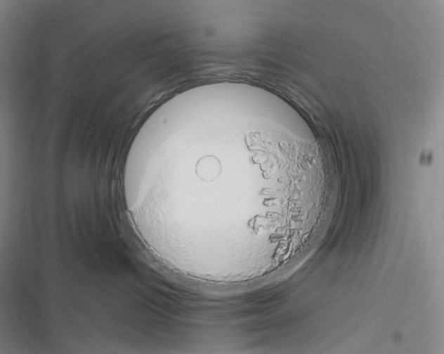 X0000116440096201001191541