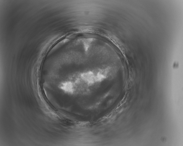 X0000116440097201001191540