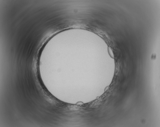 X0000116440098201001191540