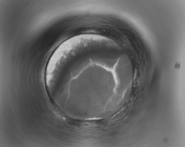 X0000116440099201001191540