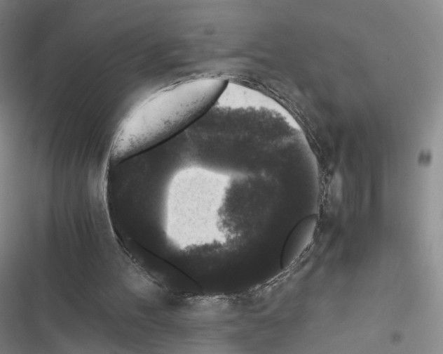 X0000116440100201001191540