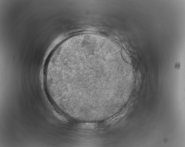 X0000116440102201001191540