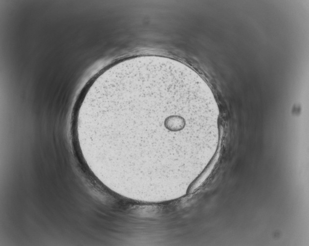 X0000116440104201001191540