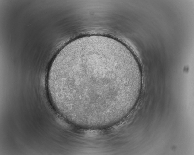 X0000116440105201001191540