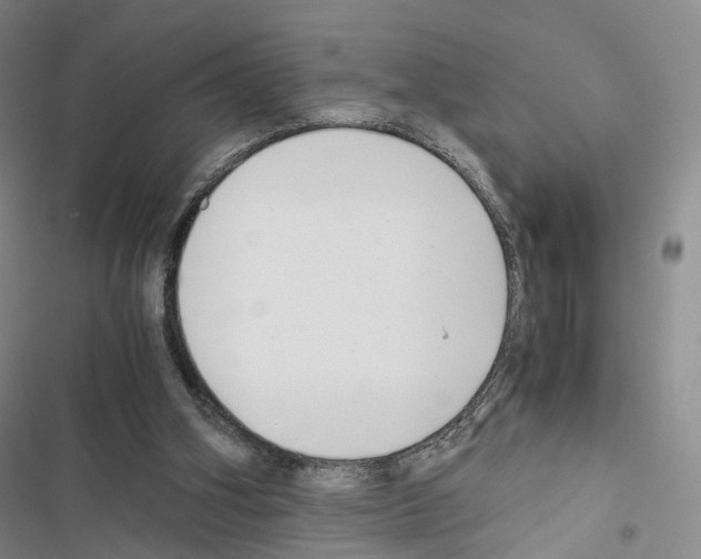 X0000116440106201001191540