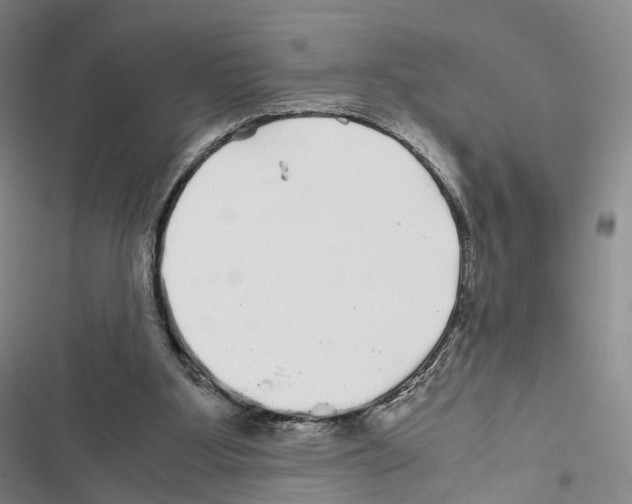 X0000116440107201001191540