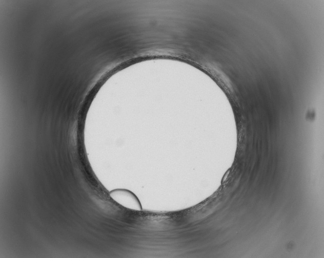 X0000116440108201001191540