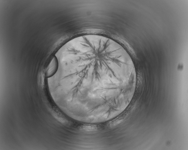 X0000116440110201001191540