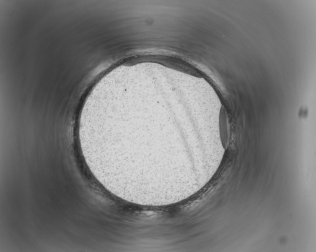 X0000116440111201001191540