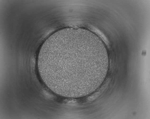 X0000116440113201001191540