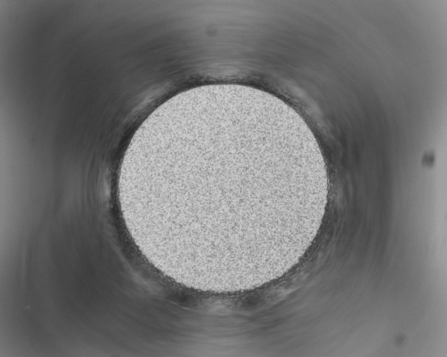 X0000116440115201001191540