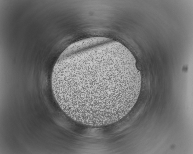 X0000116440117201001191540