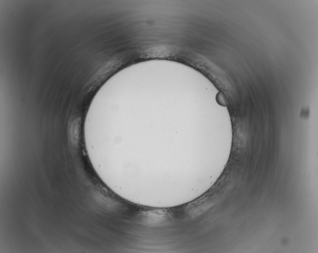 X0000116440118201001191540