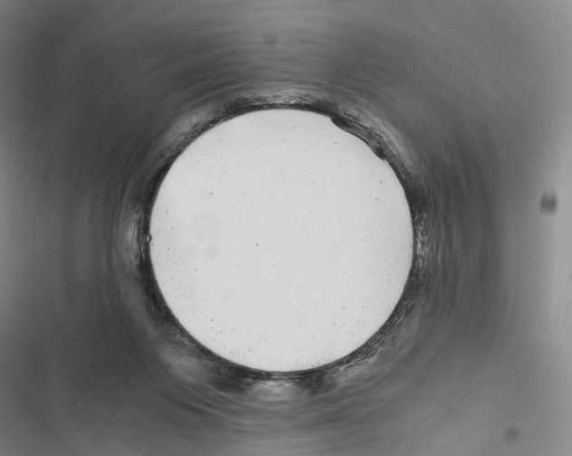 X0000116440119201001191540