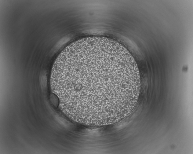 X0000116440120201001191540