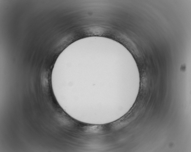 X0000116440122201001191540