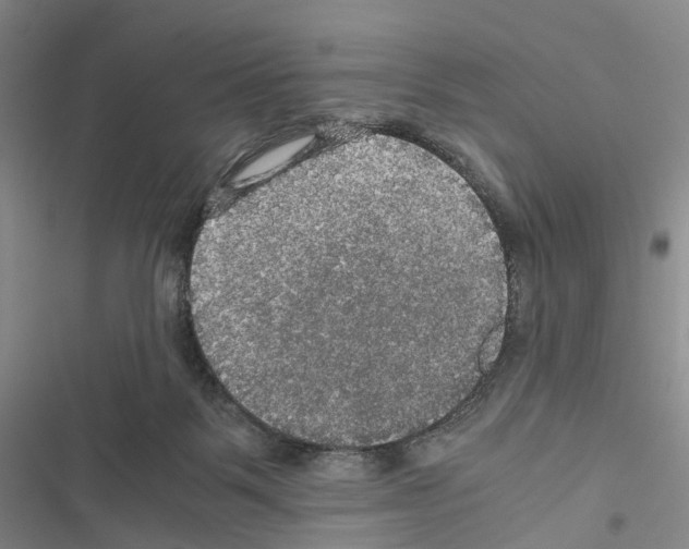 X0000116440123201001191540