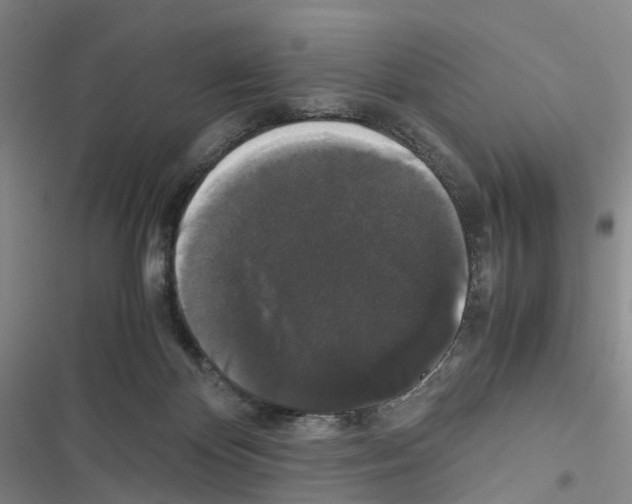 X0000116440124201001191540