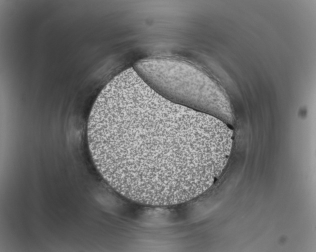 X0000116440125201001191540