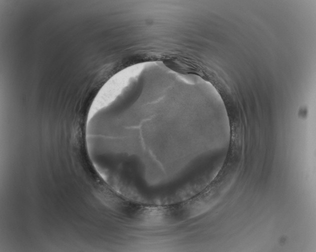 X0000116440127201001191540