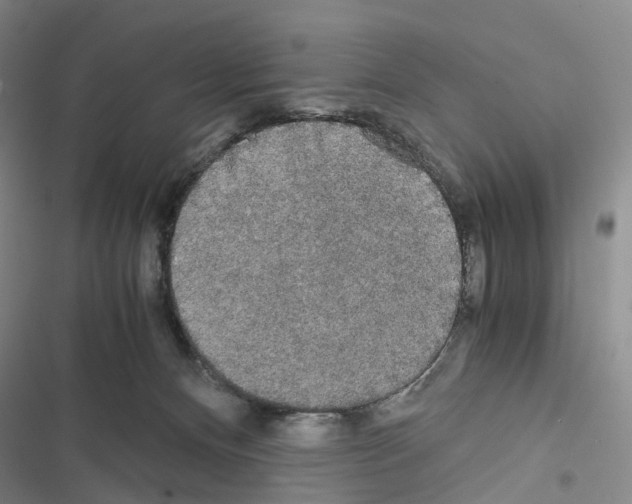 X0000116440128201001191540