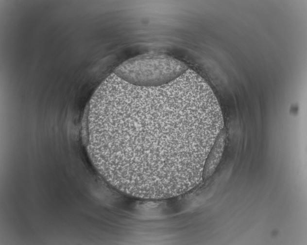 X0000116440129201001191540