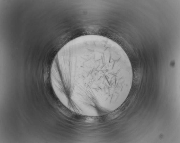 X0000116440130201001191540