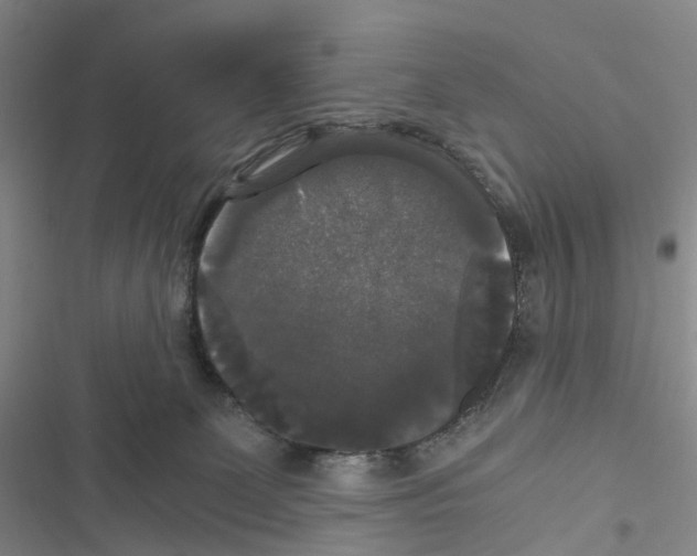 X0000116440131201001191540