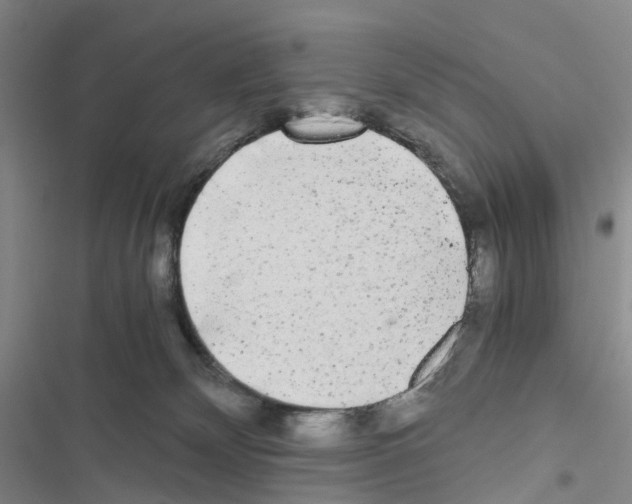 X0000116440132201001191540