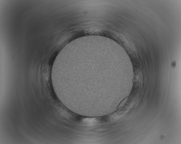 X0000116440133201001191540