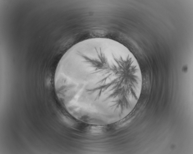 X0000116440134201001191540