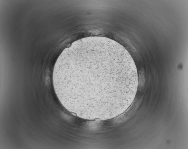 X0000116440136201001191540